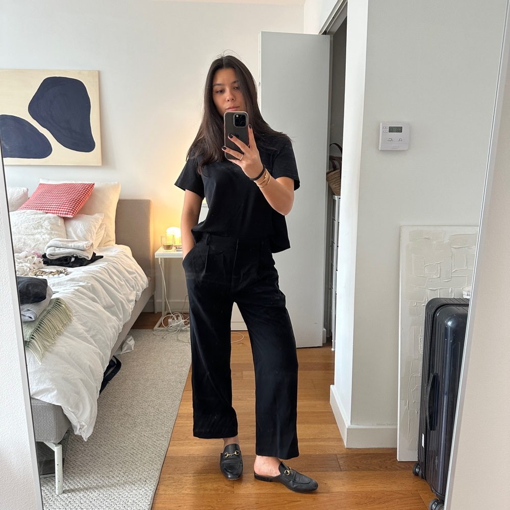 Aritzia Babaton pants size 6